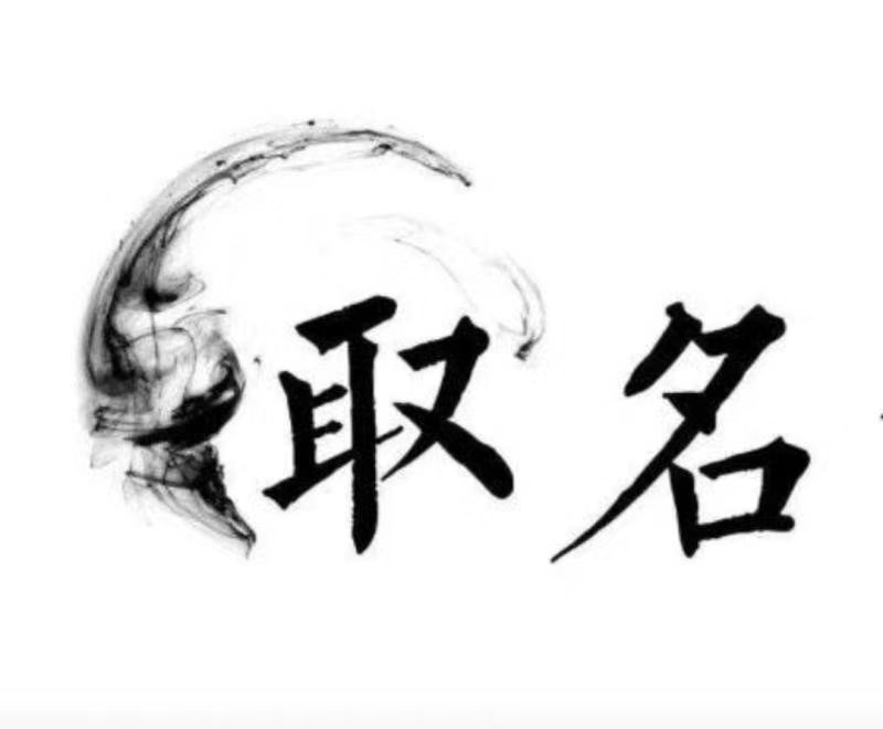  尼玛宝宝取名 大师一对一人工起名