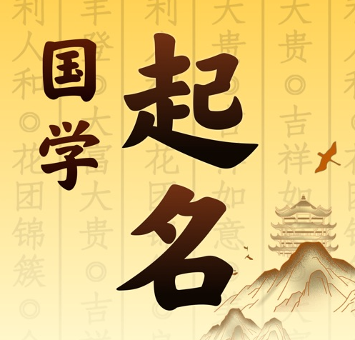 尼玛国学起名 人工起名一对一